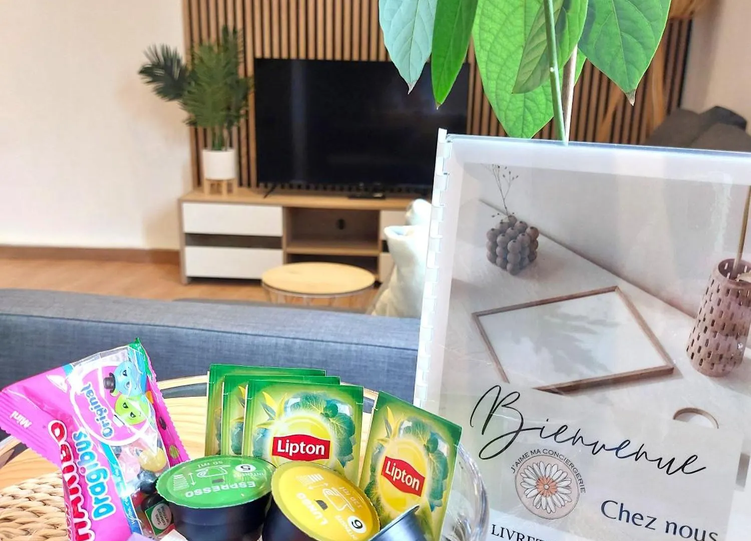 Le Cosy Sainte Anne - Proche Centre-Ville - Neuf - 4P Tarbes Apartment